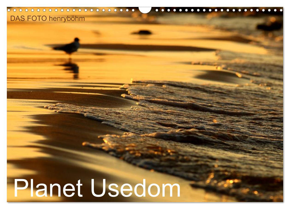 Planet Usedom (CALVENDO Wandkalender 2025)