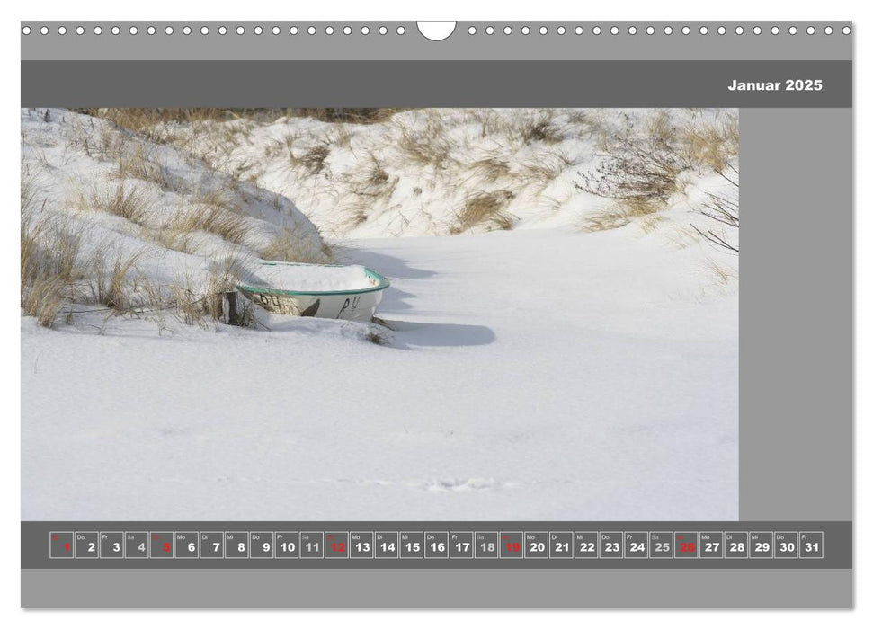 Planet Usedom (CALVENDO Wandkalender 2025)