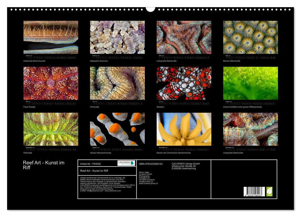 Reef Art - Kunst im Riff (CALVENDO Wandkalender 2025)