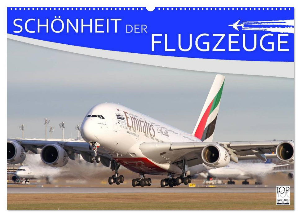 Schönheit der Flugzeuge (CALVENDO Wandkalender 2025)