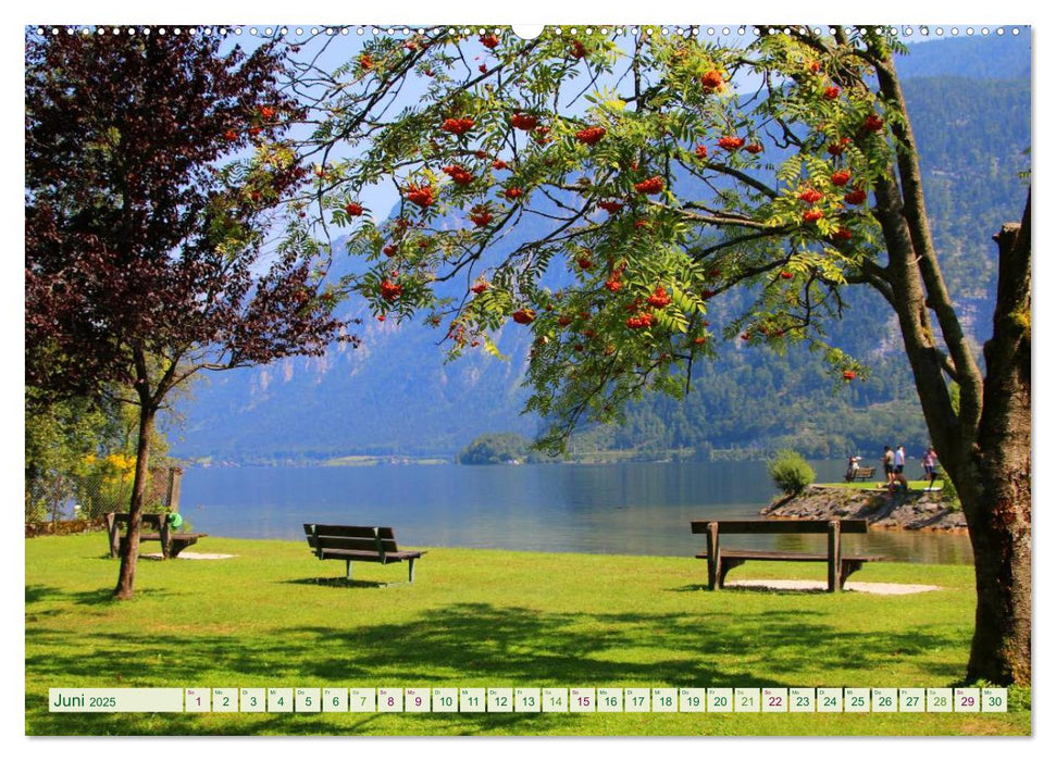 Hallstatt, Marktgemeinde am Hallstätter See (CALVENDO Premium Wandkalender 2025)