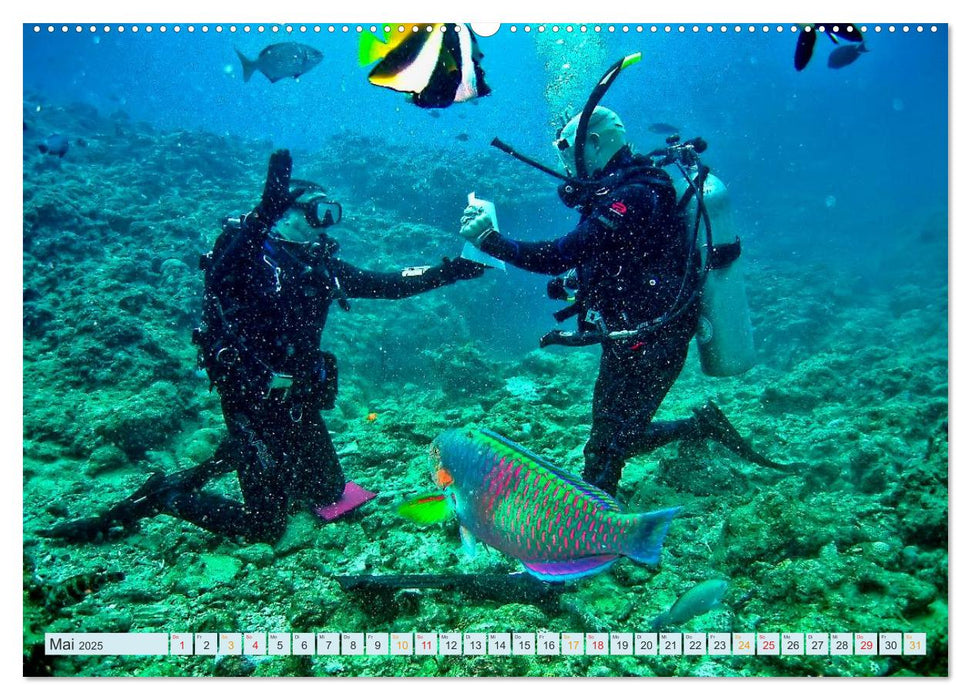 Tauchen - Abenteuer unter Wasser (CALVENDO Premium Wandkalender 2025)
