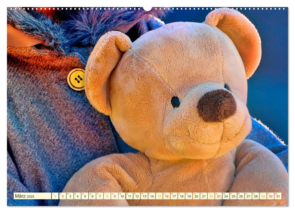 Mein Teddy - du verstehst mich (CALVENDO Premium Wandkalender 2025)