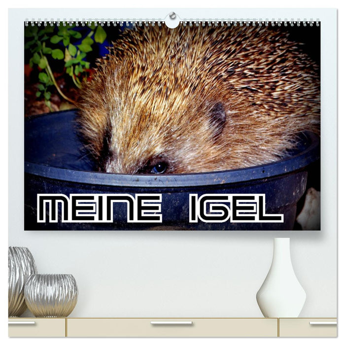 Meine Igel (CALVENDO Premium Wandkalender 2025)