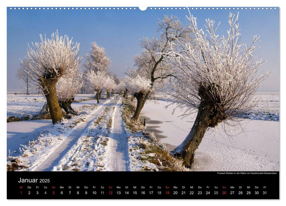 HOLLÄNDISCHE LANDSCHAFTEN: ALBLASSERWAARD 2025 (CALVENDO Premium Wandkalender 2025)