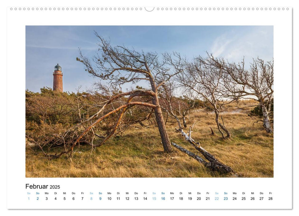 Fischland - Darß - Zingst: Zwischen Meer und Bodden (CALVENDO Premium Wandkalender 2025)