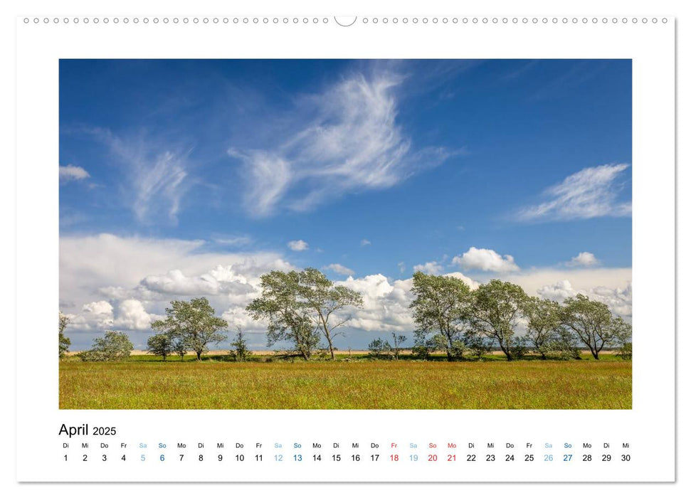 Fischland - Darß - Zingst: Zwischen Meer und Bodden (CALVENDO Premium Wandkalender 2025)