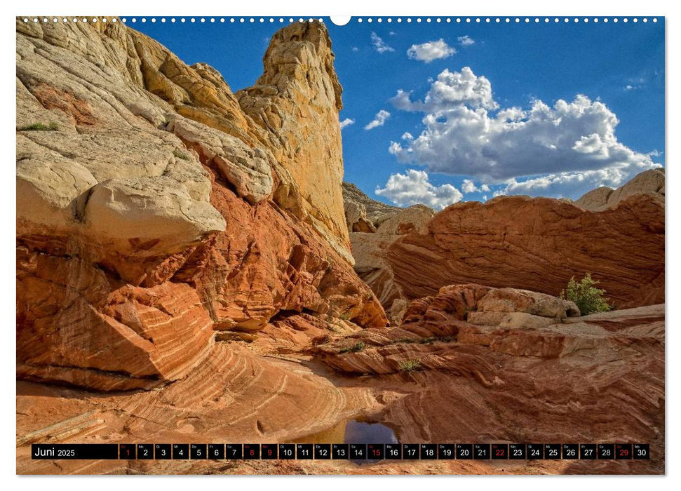 WHITE POCKET - Naturwunder in Arizona (CALVENDO Premium Wandkalender 2025)