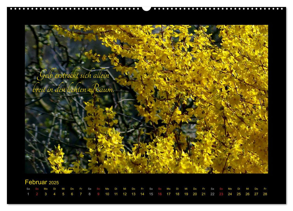 Goethes Gelb Gedanken zur Farbe (CALVENDO Premium Wandkalender 2025)