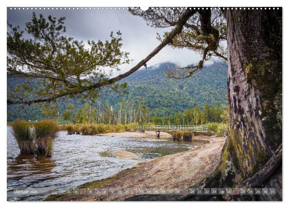 Traumhafte Wege - Unterwegs auf Neuseelands Südinsel (CALVENDO Premium Wandkalender 2025)