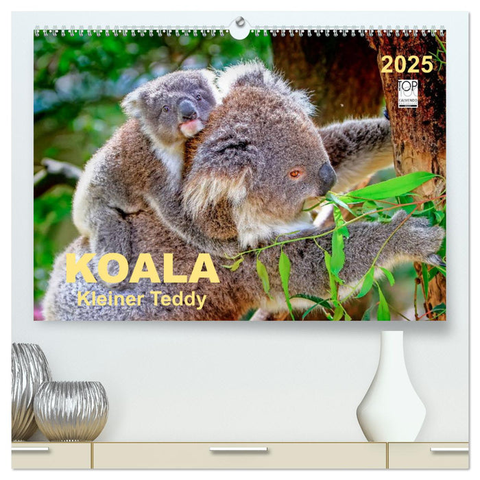 Koala - kleiner Teddy (CALVENDO Premium Wandkalender 2025)