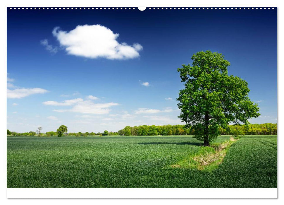 Vier- und Marschlande Hamburgs grüner Südosten (CALVENDO Wandkalender 2025)