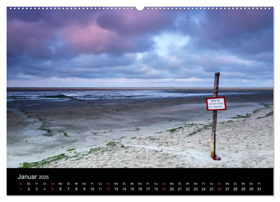 Amrum, Perle der Nordsee (CALVENDO Premium Wandkalender 2025)