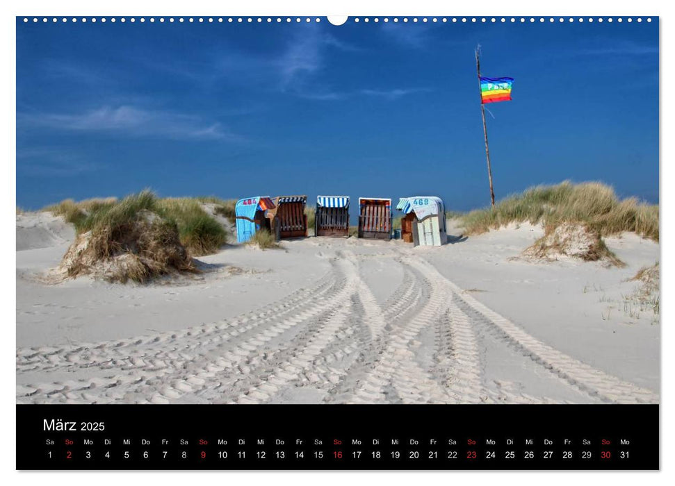 Amrum, Perle der Nordsee (CALVENDO Premium Wandkalender 2025)