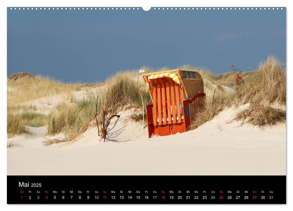 Amrum, Perle der Nordsee (CALVENDO Premium Wandkalender 2025)