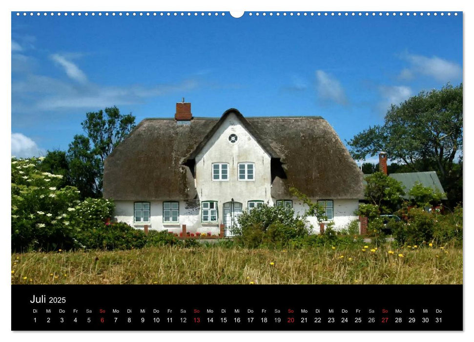 Amrum, Perle der Nordsee (CALVENDO Premium Wandkalender 2025)