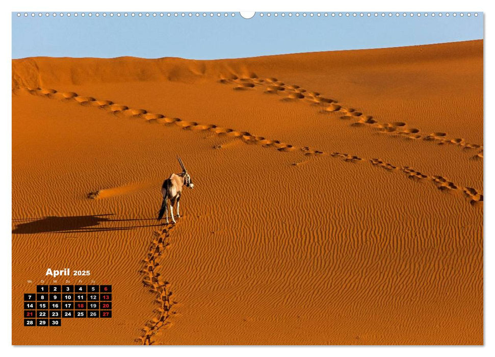 Blickpunkte in Namibia (CALVENDO Premium Wandkalender 2025)