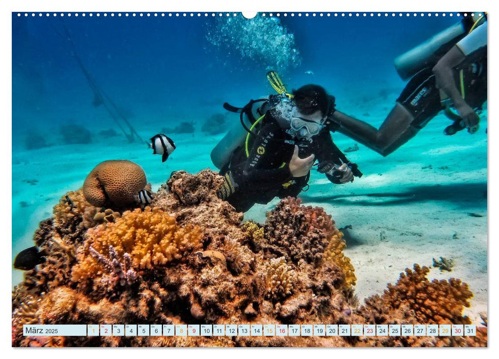 Tauchen - Abenteuer unter Wasser (CALVENDO Wandkalender 2025)