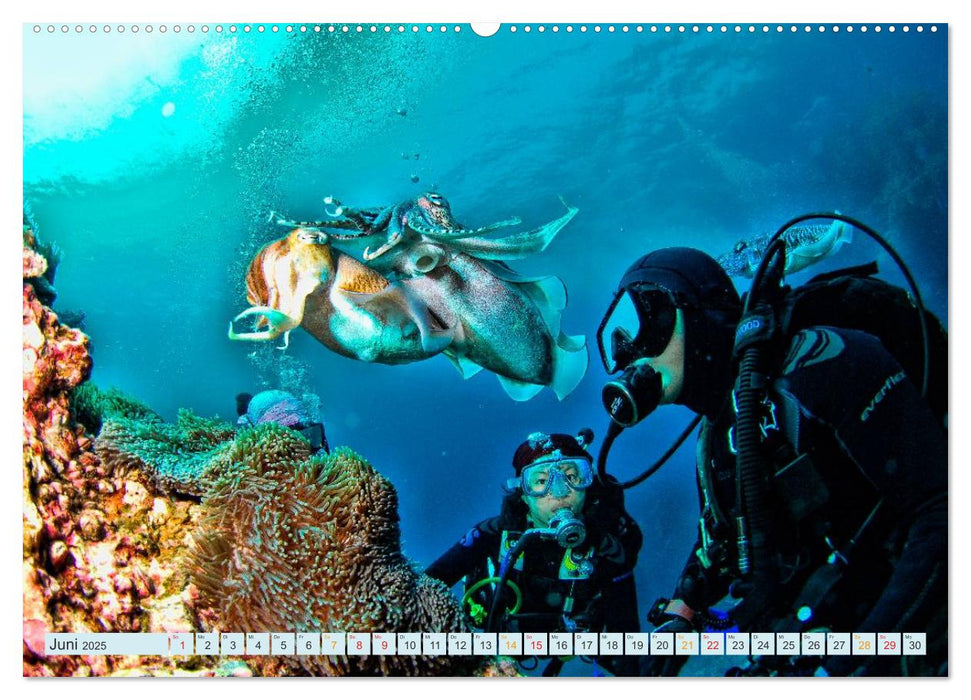 Tauchen - Abenteuer unter Wasser (CALVENDO Wandkalender 2025)