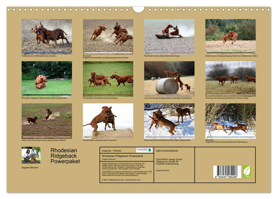 Rhodesian Ridgeback Powerpaket (CALVENDO Wandkalender 2025)