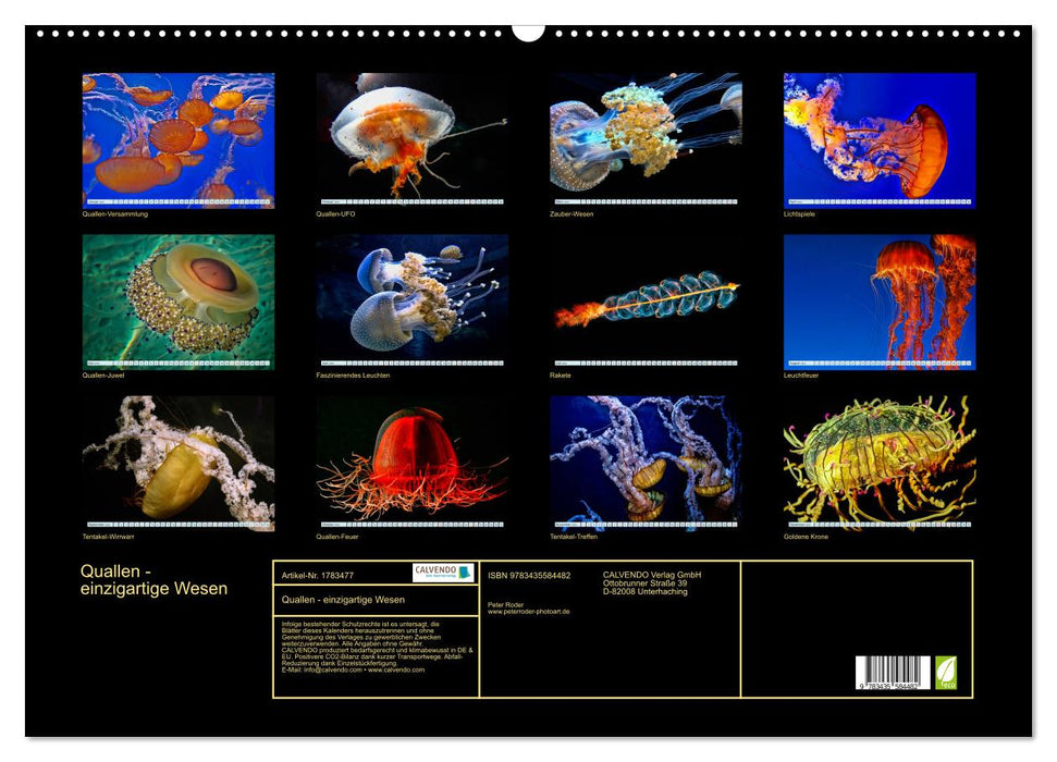 Quallen - einzigartige Wesen (CALVENDO Wandkalender 2025)