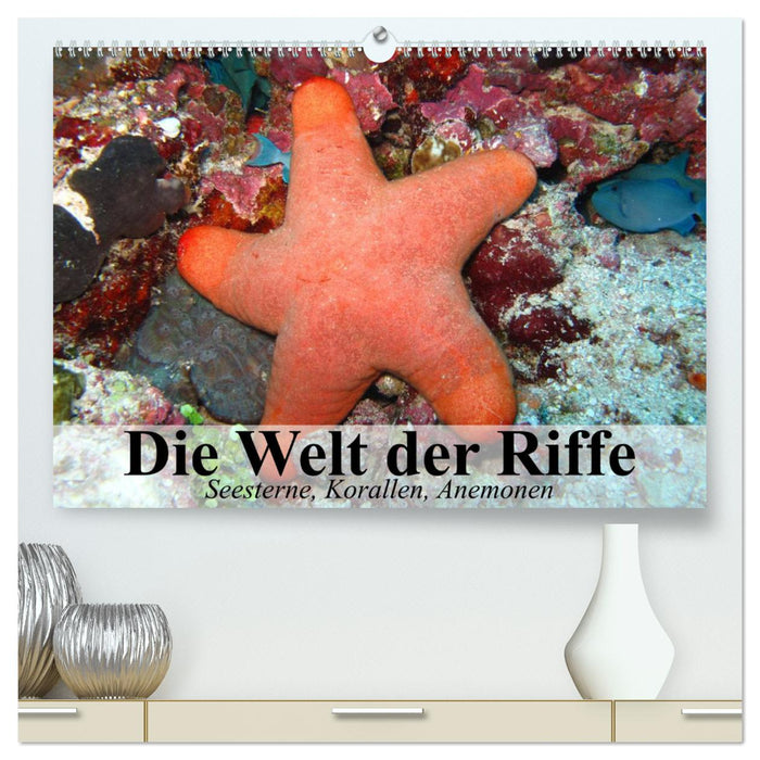 Die Welt der Riffe. Seesterne, Korallen, Anemonen (CALVENDO Premium Wandkalender 2025)