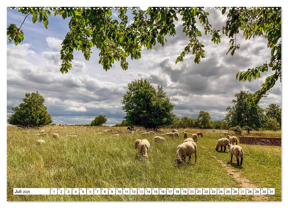 LAATZEN - Ortsteil der Region Hannover (CALVENDO Premium Wandkalender 2025)