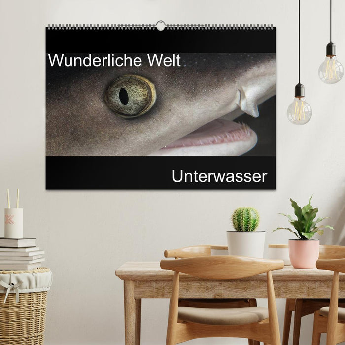 Wunderliche Welt Unterwasser (CALVENDO Wandkalender 2025)