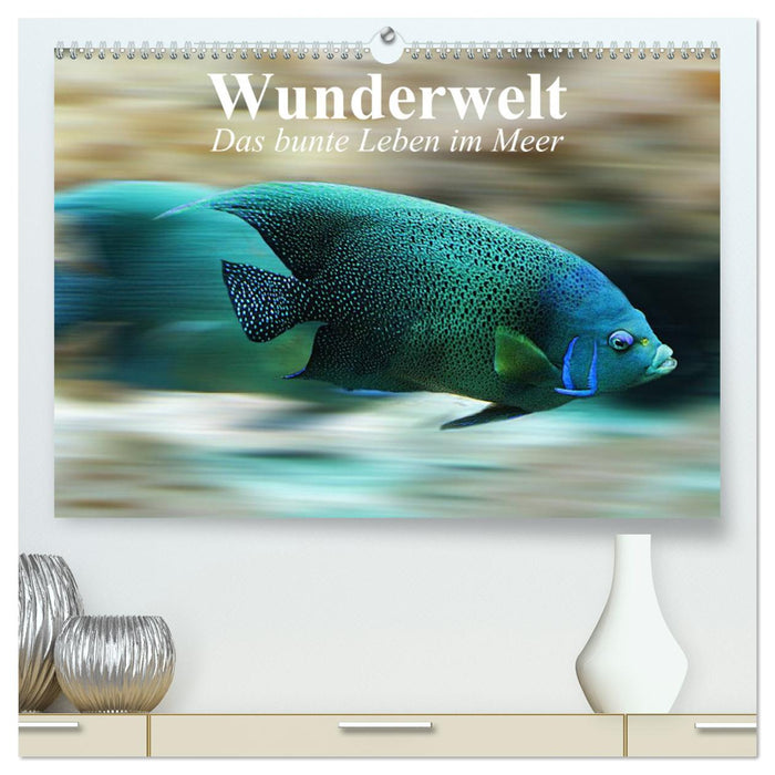 Wunderwelt. Das bunte Leben im Meer (CALVENDO Premium Wandkalender 2025)