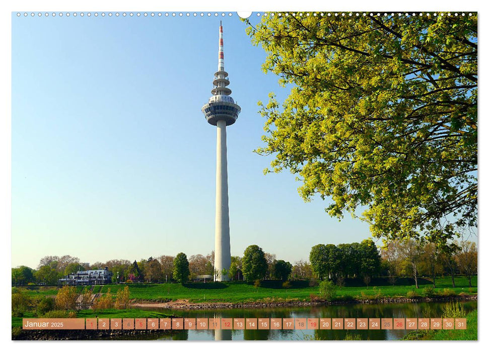 Mannheim - Stadt im Quadrat (CALVENDO Wandkalender 2025)