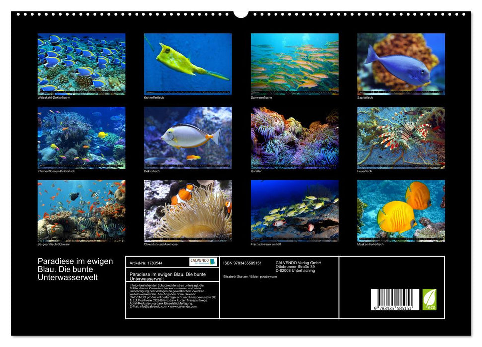 Paradiese im ewigen Blau. Die bunte Unterwasserwelt (CALVENDO Premium Wandkalender 2025)