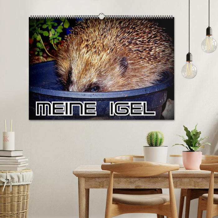 Meine Igel (CALVENDO Wandkalender 2025)