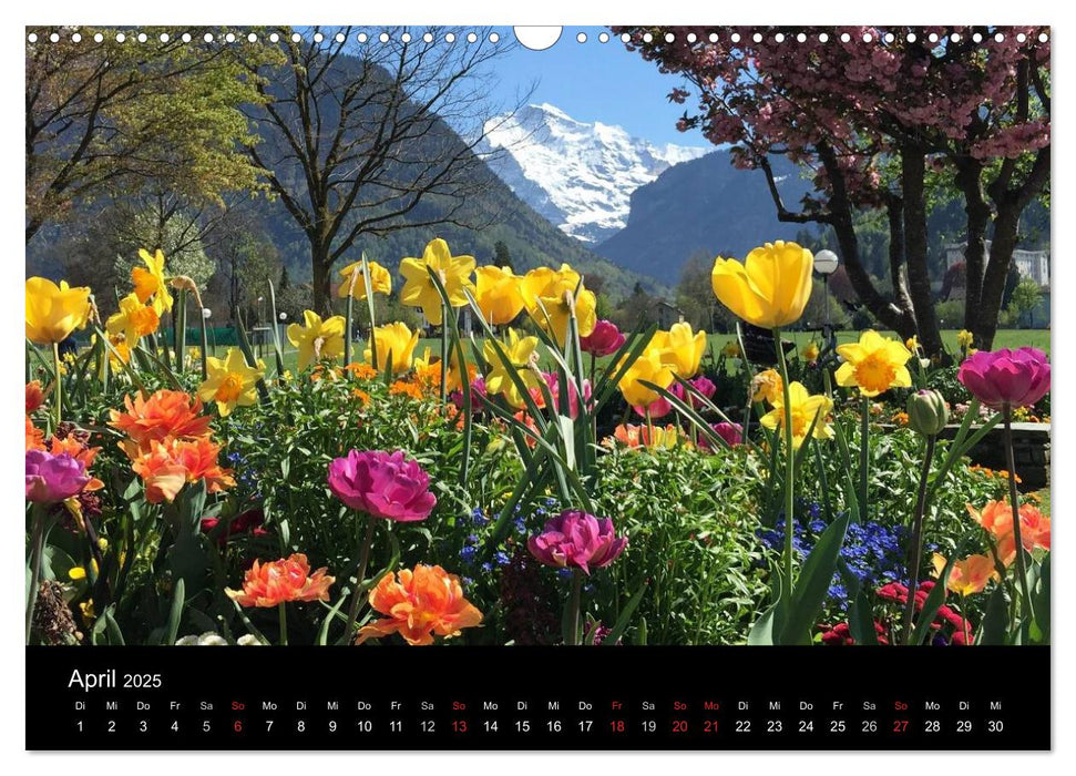 Bergblicke - swissmountainview.ch (CALVENDO Wandkalender 2025)