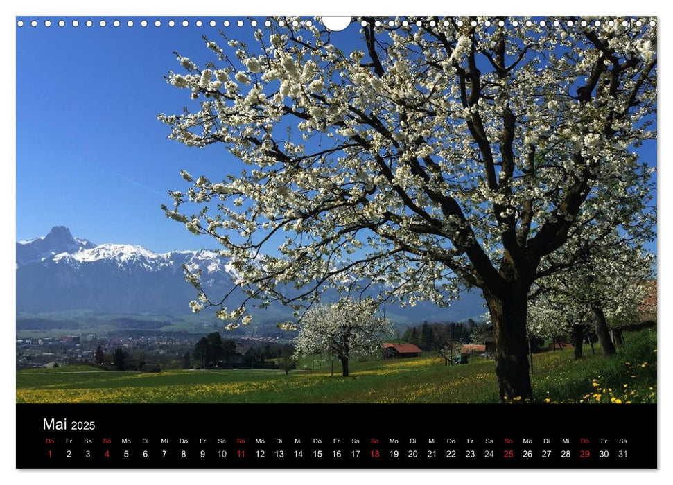 Bergblicke - swissmountainview.ch (CALVENDO Wandkalender 2025)