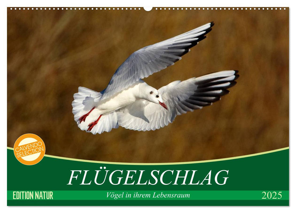 Flügelschlag - Vögel in ihrem natürlichen Lebensraum (CALVENDO Wandkalender 2025)
