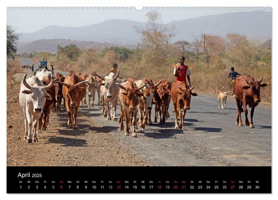 Landleben in Äthiopien (CALVENDO Premium Wandkalender 2025)