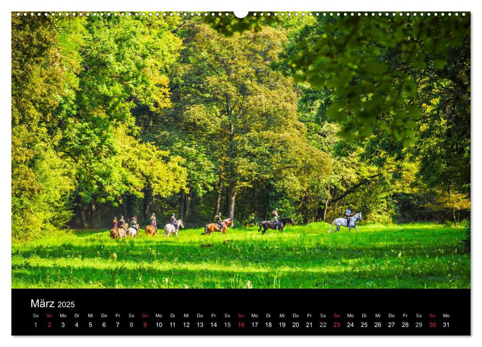 Mannheimer Waldpark (CALVENDO Premium Wandkalender 2025)