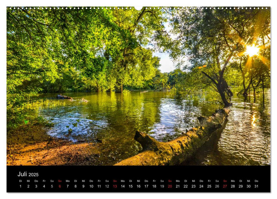 Mannheimer Waldpark (CALVENDO Premium Wandkalender 2025)