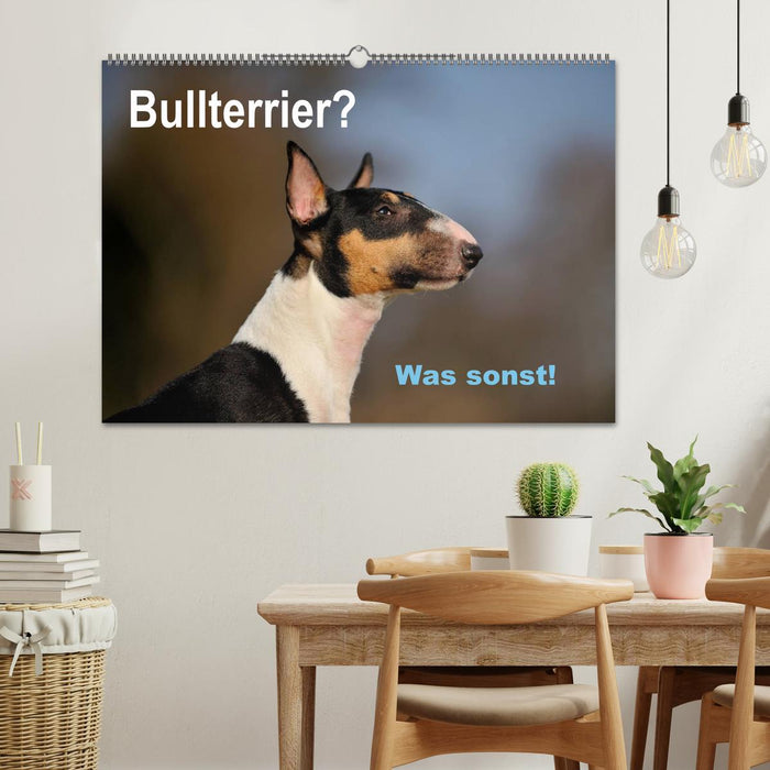 Bullterrier? Was sonst! (CALVENDO Wandkalender 2025)