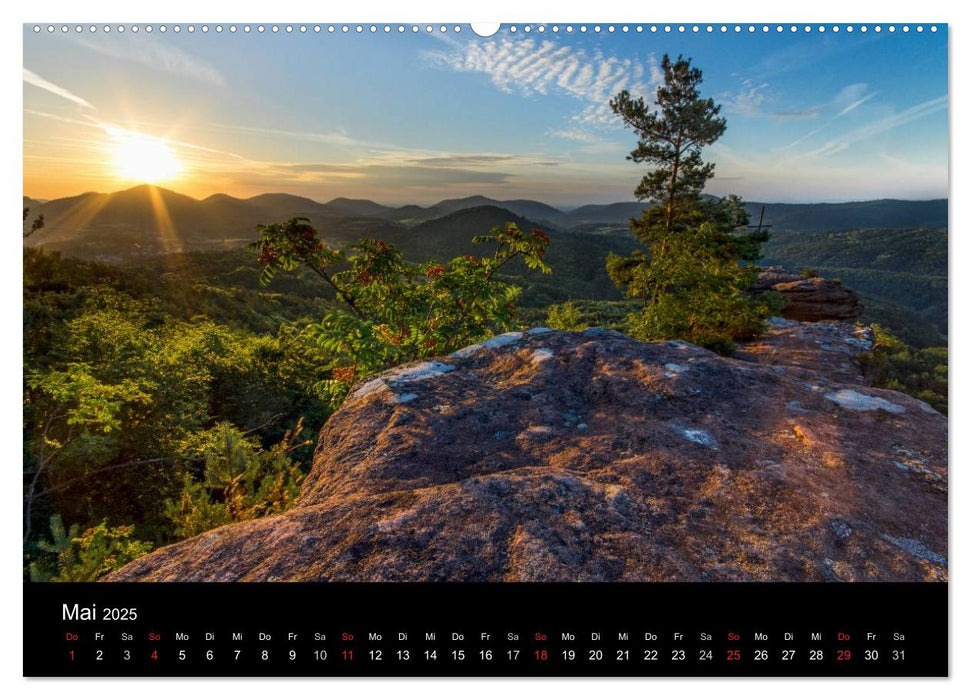 Mystischer Pfälzer Wald (CALVENDO Premium Wandkalender 2025)