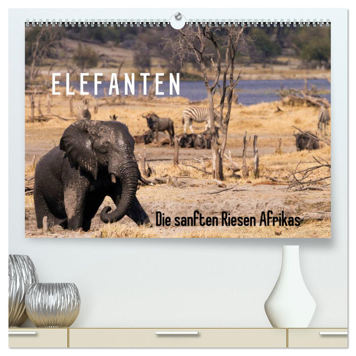 Elefanten - Die sanften Riesen Afrikas (CALVENDO Premium Wandkalender 2025)