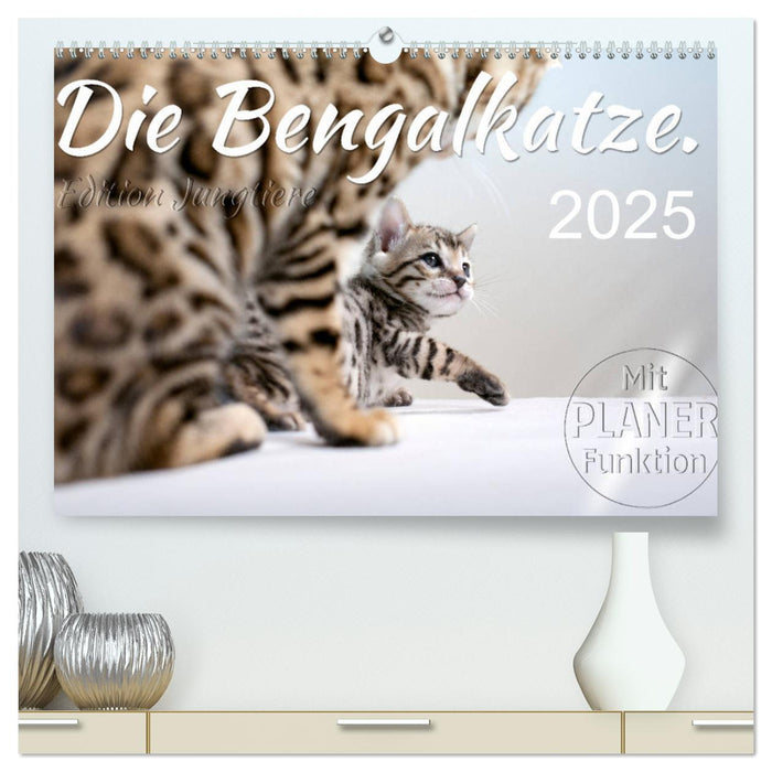 Die Bengalkatze. Edition Jungtiere (CALVENDO Premium Wandkalender 2025)