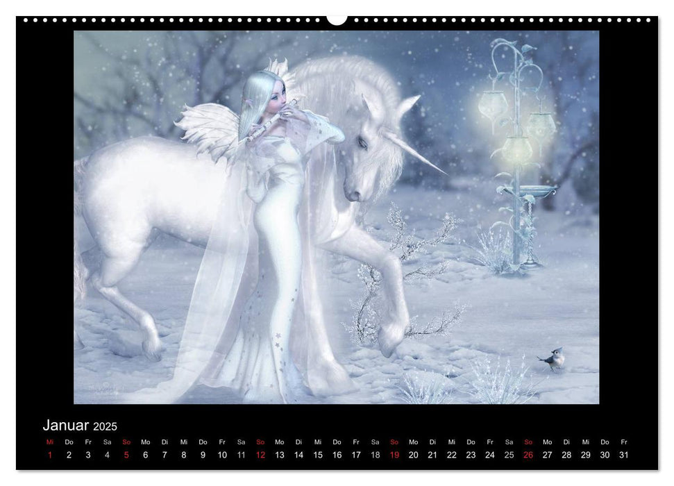 Elfenlichter (CALVENDO Premium Wandkalender 2025)