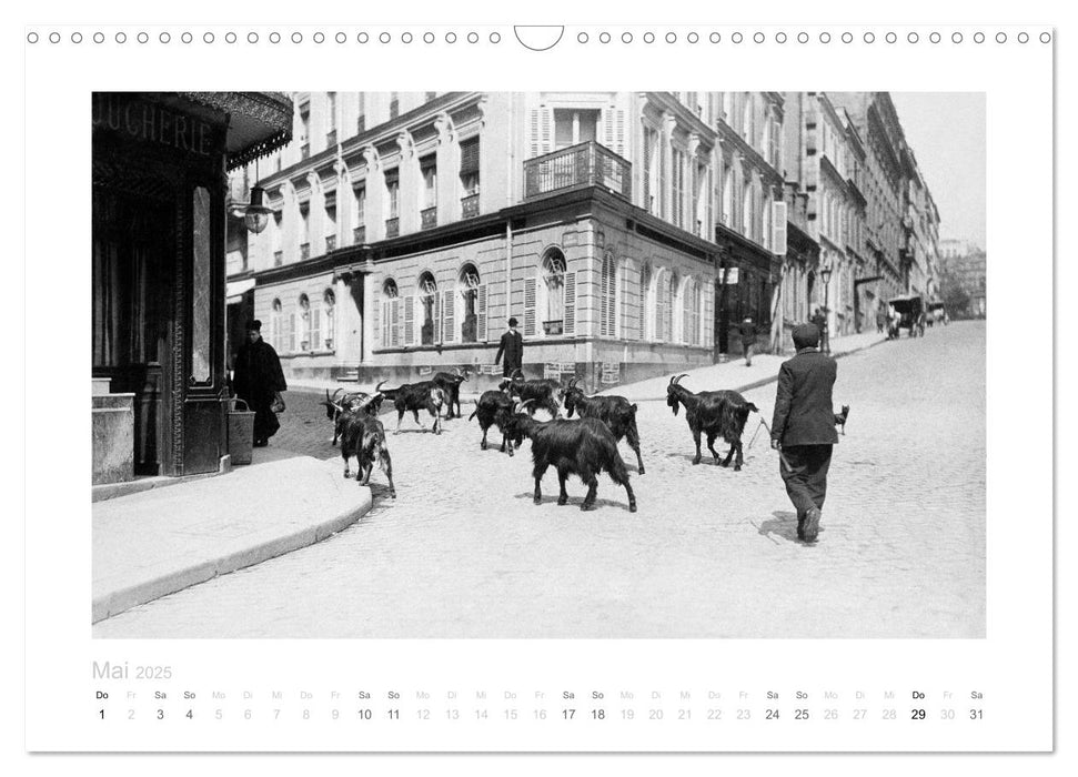 Metropole Paris - Impressionen (CALVENDO Wandkalender 2025)