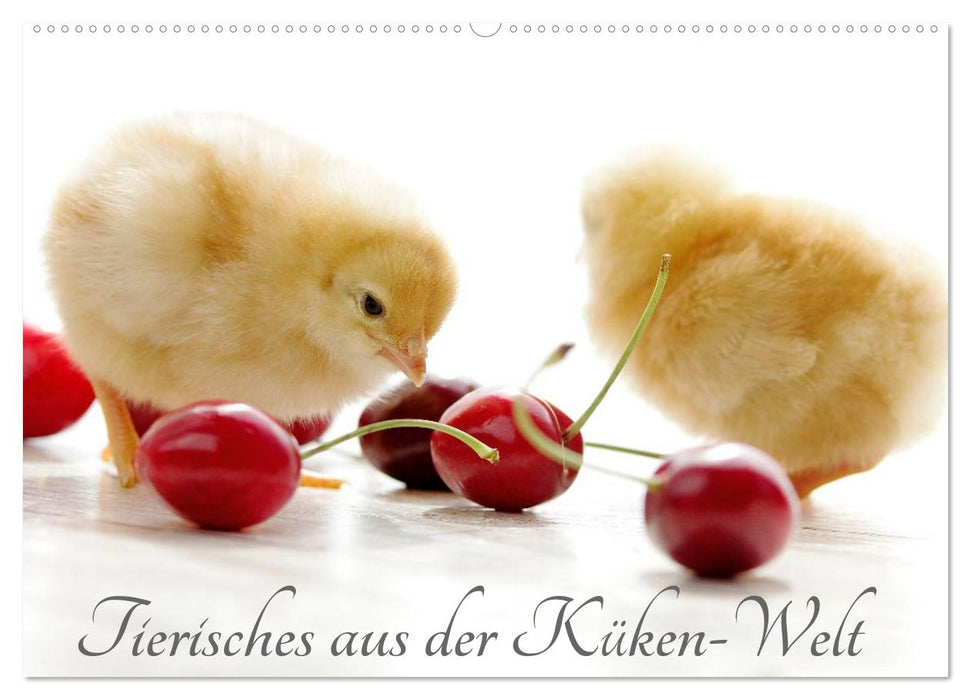 Tierisches aus der Küken-Welt (CALVENDO Wandkalender 2025)