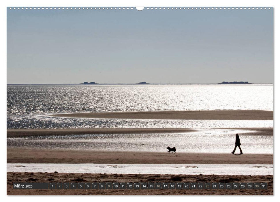 Föhr und Amrum - Spaziergänge am Meer (CALVENDO Wandkalender 2025)