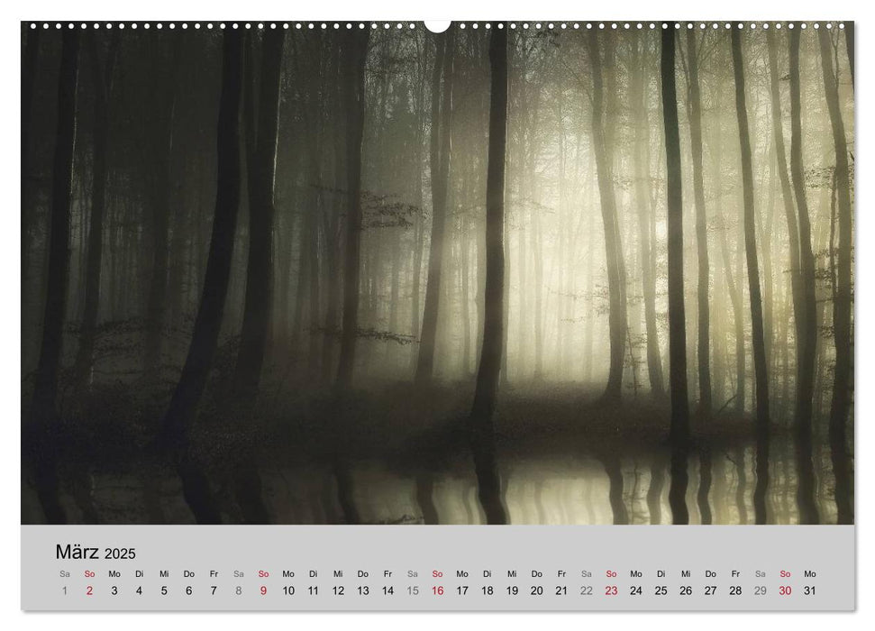 Unterwegs in Nebelwelten (CALVENDO Premium Wandkalender 2025)