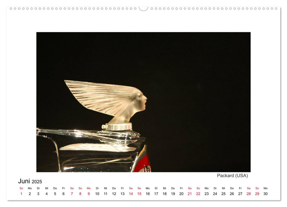 Oldtimer - edle Kühlerfiguren (CALVENDO Premium Wandkalender 2025)