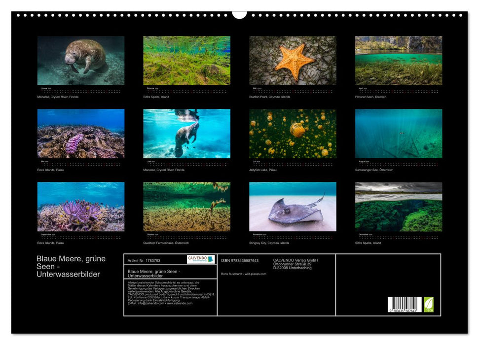 Blaue Meere, grüne Seen - Unterwasserbilder (CALVENDO Wandkalender 2025)