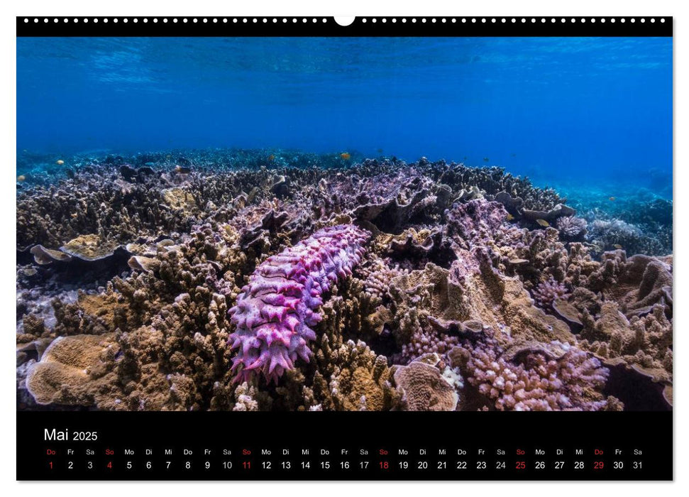 Blaue Meere, grüne Seen - Unterwasserbilder (CALVENDO Wandkalender 2025)